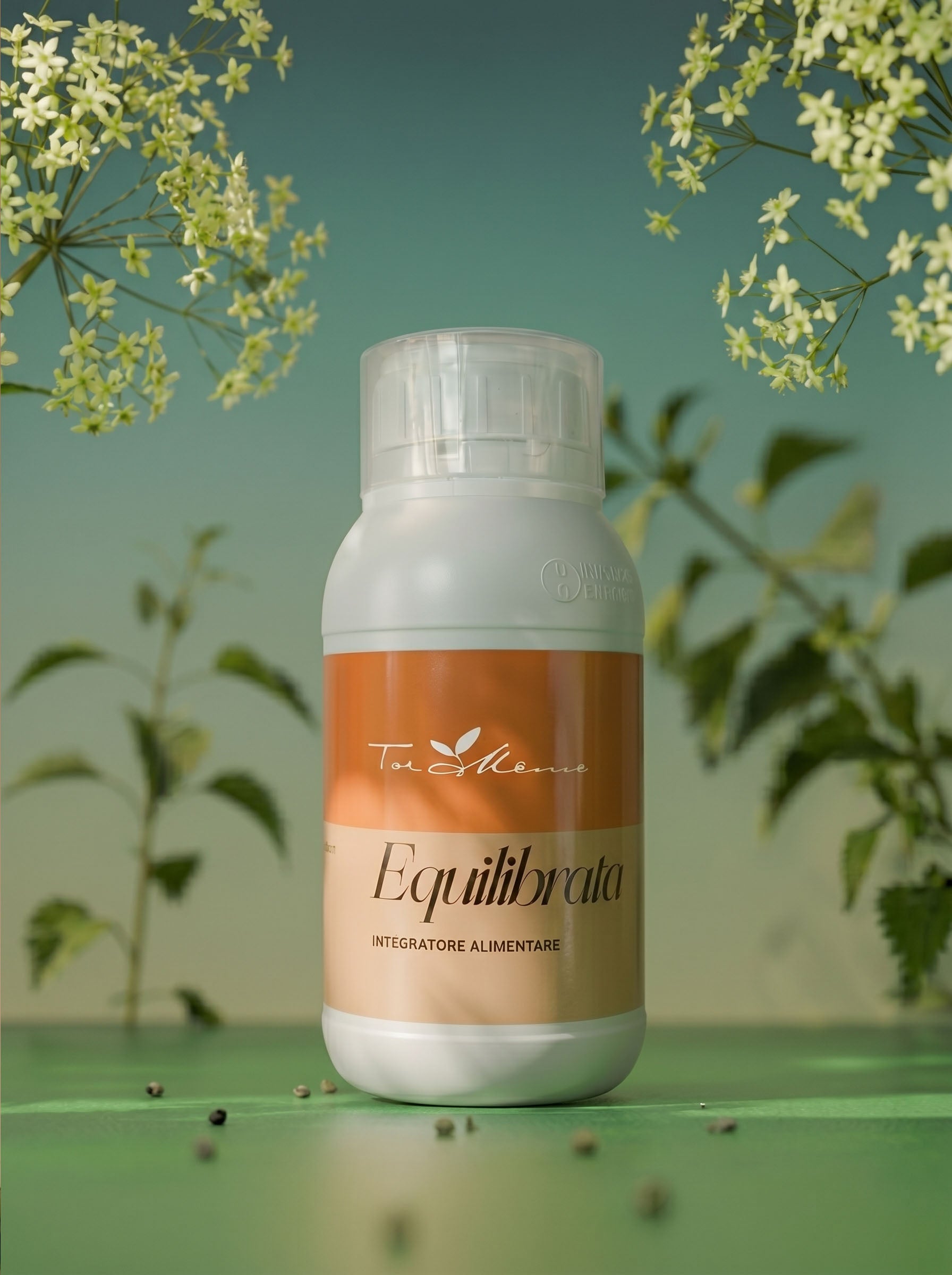 Equilibrata